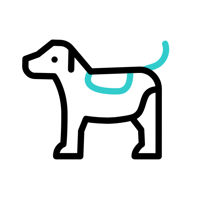 reviews honestos de produtos para seu pet